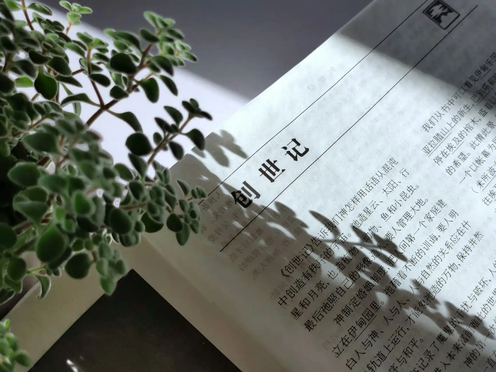 大型FDM3D打印机在建筑行业中的应用现状与技术挑战